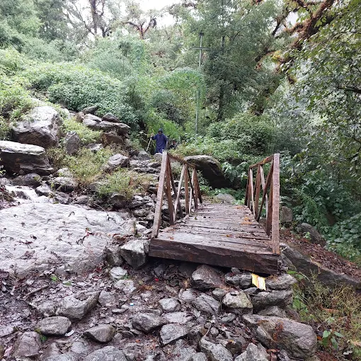Wooden Bridge
